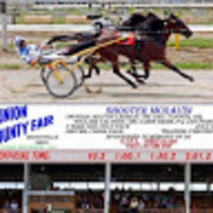 Meet your Posher, Tim